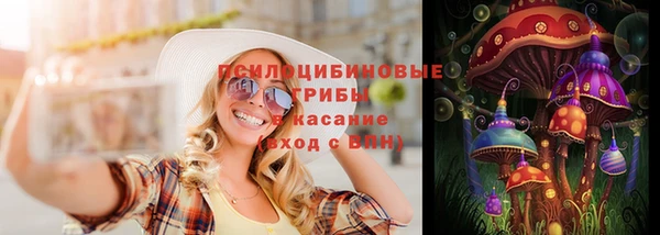 мяу мяу мука Баксан