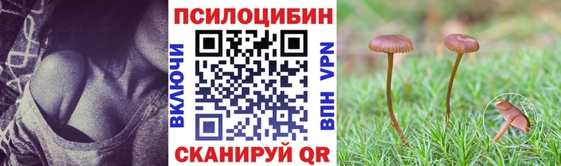 дарнет шоп  Сосногорск  Галлюциногенные грибы GOLDEN TEACHER 